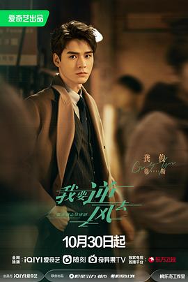 成都seo优化矩阵